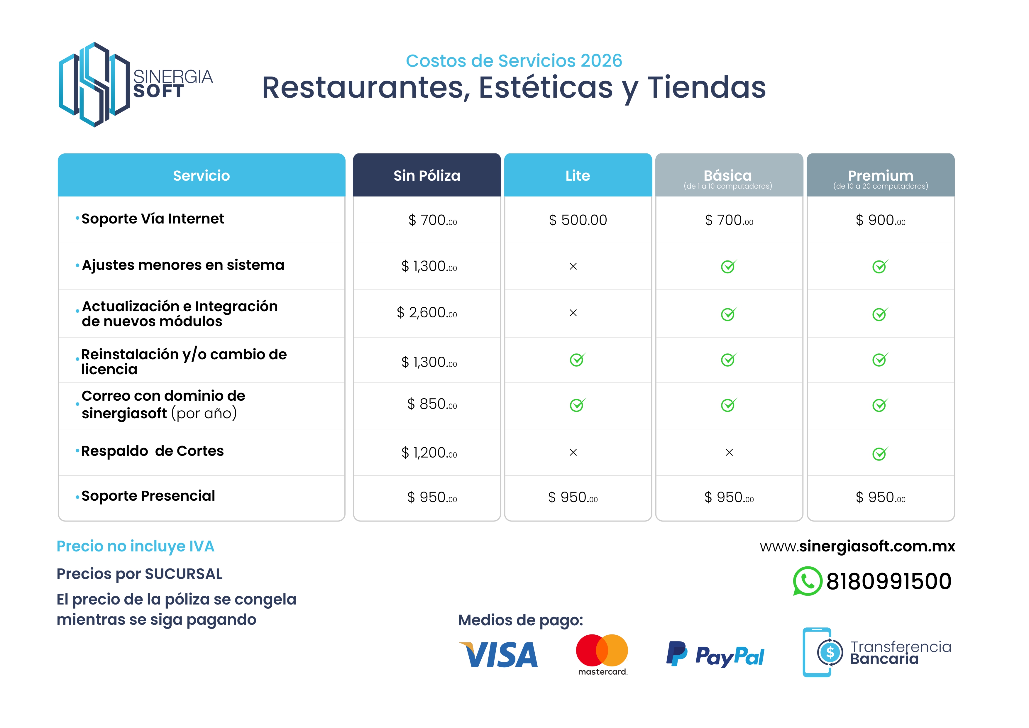 Monitor, equipo y logo Sinergia Soft.